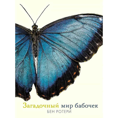Энциклопедия Загадочный мир бабочек Махаон 50192651 1